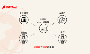 跨境独立站收单是什么？