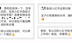 如何小红书广告代投放，引流美国tiktok难民？