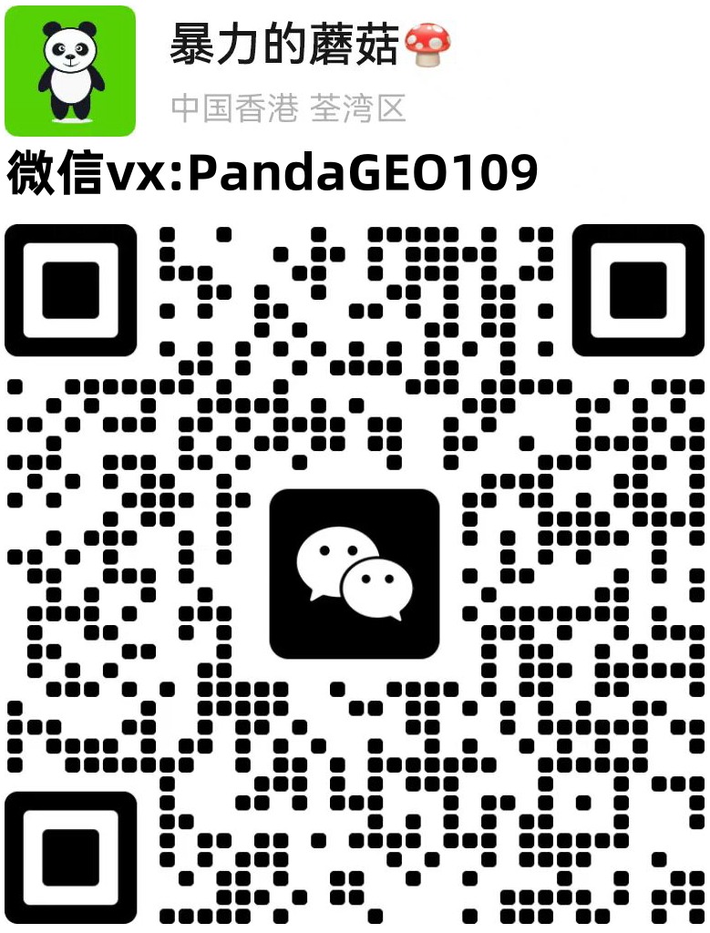 AI GEO中小外贸企业弯道超车，SEO保底+GEO 增量才是王道