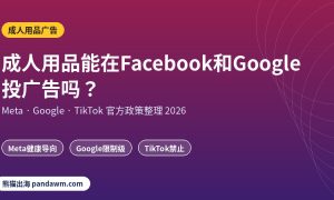 成人用品广告政策封面：成人用品能在Facebook和Google投广告吗？