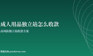 成人用品收款方案封面图：高风险独立站收款与加密支付