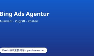 Bing Ads Agentur: Leistungen, Verknüpfung per Link-Anfrage, Konto-Eigentum und Fragenkatalog