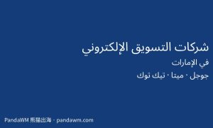 شركات التسويق الإلكتروني في الإمارات وإعلانات جوجل وميتا وتيك توك