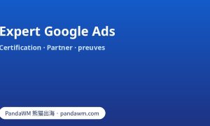 Expert Google Ads : certification, Google Partner, preuves à demander et propriété du compte