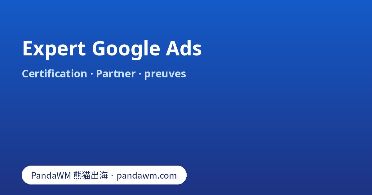 Expert Google Ads : certification, Google Partner, preuves à demander et propriété du compte