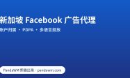 选择新加坡 Facebook 广告代理的要点：账户归属、PDPA 合规、多语言素材与 Partner 权限