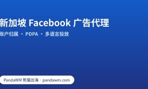 选择新加坡 Facebook 广告代理的要点：账户归属、PDPA 合规、多语言素材与 Partner 权限