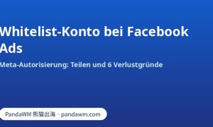 Facebook-Ads-Whitelist-Konto: Meta-Autorisierung und Gründe für den Verlust