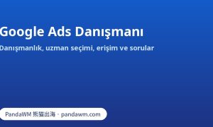 Google Ads danışmanı seçimi: danışmanlık kapsamı, Google Partner rozeti, hesap erişimi ve sorular