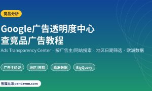 Google广告透明度中心 查竞品广告教程