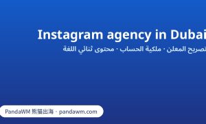 معايير اختيار وكالة تسويق إنستغرام لجمهور دبي: تصريح المعلن وملكية الحساب والمحتوى بلغتين