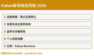 Kakao账号购买风险封面