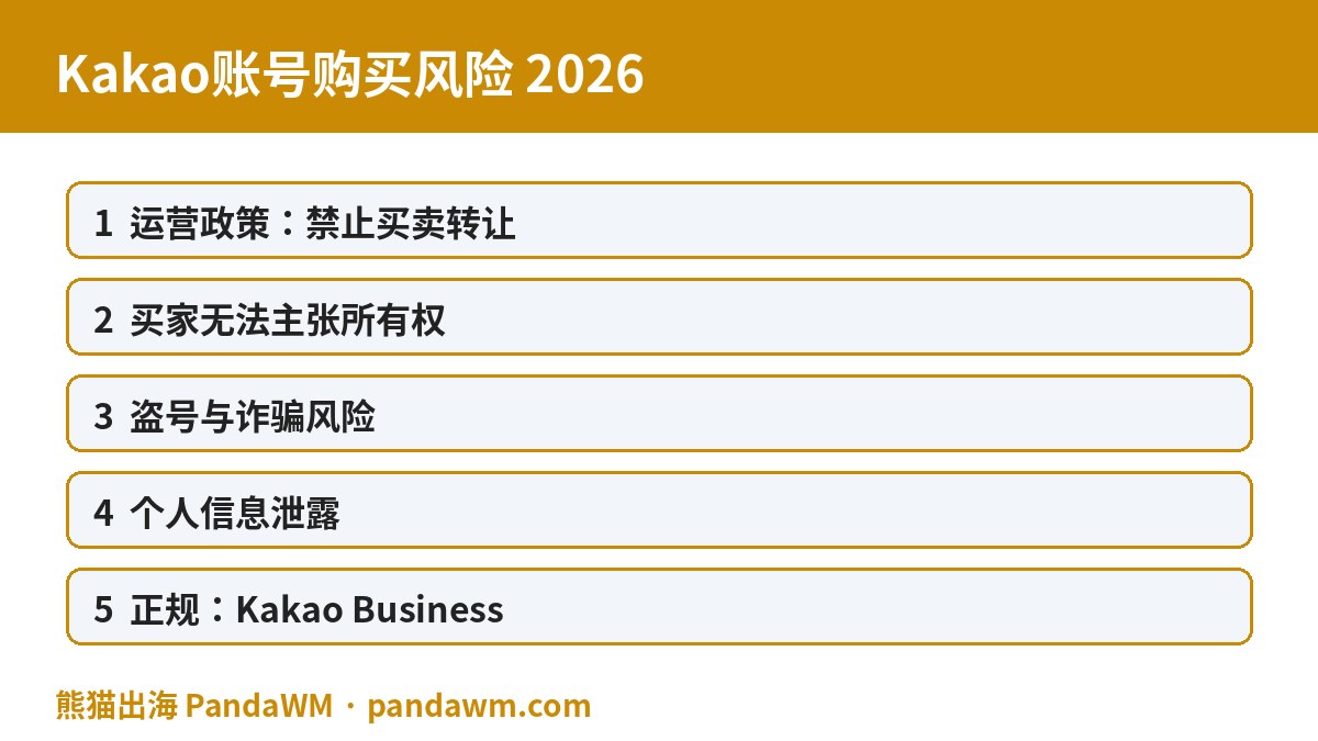 Kakao账号购买风险封面