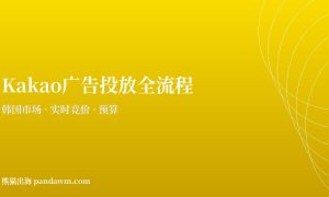 kakao广告投放全流程指南2026