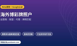 海外博彩牌照户Meta授权与Google认证角色对照图