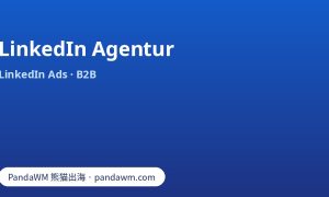 LinkedIn Agentur: Leistungen, Ziele, Targeting, Honorar und Auswahlkriterien für B2B-Werbung