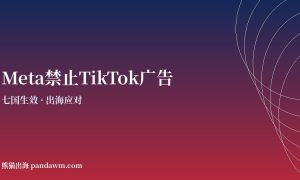 Meta禁止ByteDance TikTok广告 七国
