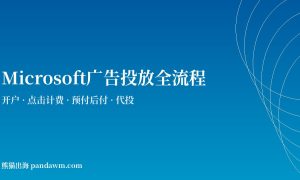 bing广告投放全流程指南2026