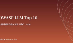 OWASP LLM Top 10 2025 中文防护清单