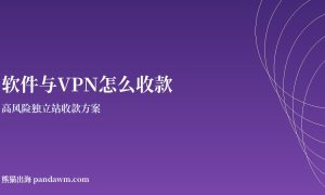 软件与VPN收款方案封面图：高风险独立站收款与加密支付