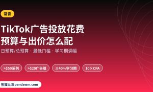TikTok广告投放花费 预算与最低门槛