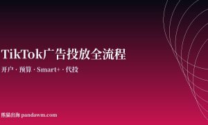 tiktok广告投放全流程指南2026