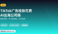TikTok广告投放花费AI出海公司