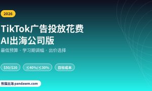 TikTok广告投放花费AI出海公司