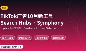 TikTok广告更新 Search Hubs Symphony 2026年10月