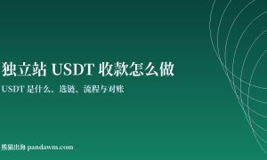 独立站USDT收款指南封面图