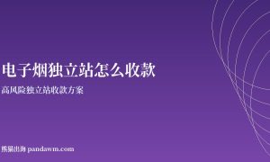 电子烟收款方案封面图：高风险独立站收款与加密支付