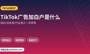 TikTok广告加白户是什么