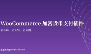 WooCommerce加密货币支付插件指南封面图